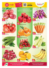 Shaklan leaflet Page 2