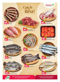 Shaklan leaflet Page 3