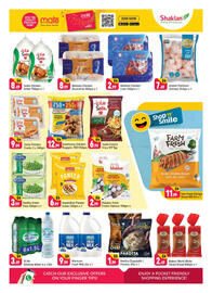 Shaklan leaflet Page 4