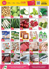 Shaklan leaflet Page 2