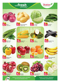 Shaklan leaflet Page 2