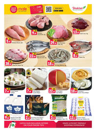 Shaklan leaflet Page 3