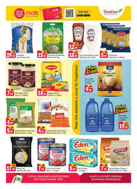 Shaklan leaflet Page 6