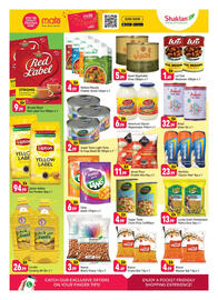 Shaklan leaflet Page 3