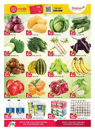 Shaklan leaflet Page 5