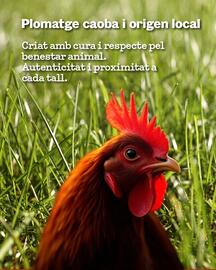 Catálogo Sorli semana 50 Página 4