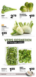 Ekoplaza folder Pagina 13