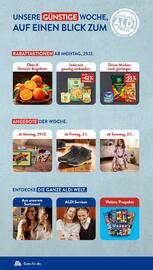 Aldi Süd Prospekt | Feuerwerk Seite 2