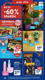Aldi Süd Prospekt | Feuerwerk Seite 20