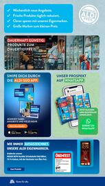 Aldi Süd Prospekt | Feuerwerk Seite 3