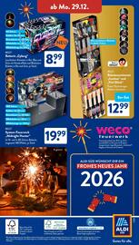 Aldi Süd Prospekt | Feuerwerk Seite 38