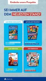 Aldi Süd Prospekt | Feuerwerk Seite 43