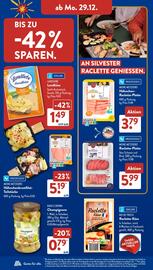 Aldi Süd Prospekt | Feuerwerk Seite 8