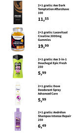 Plein.nl folder Pagina 53