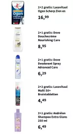 Plein.nl folder Pagina 13