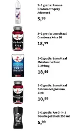 Plein.nl folder Pagina 2