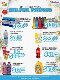 Folleto Guajardo Página 1