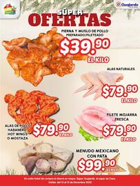 Folleto Guajardo Página 2