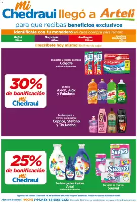 Folleto Arteli (válido hasta 15-12)