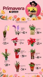 Encarte Giassi Supermercados semana 50 Página 1