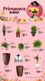 Encarte Giassi Supermercados semana 50 Página 2