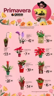 Encarte Giassi Supermercados (válido até 18-12)