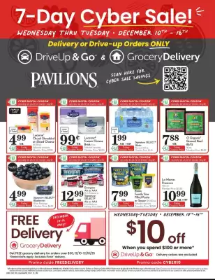 Pavilions weekly ad (valid until 16-12)