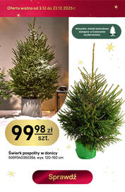 Castorama gazetka Strona 7