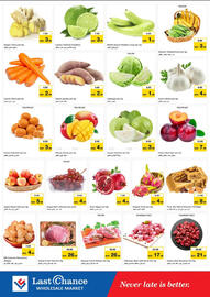 Last Chance flyer Page 2