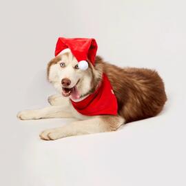 Catálogo Cobasi semana 50 Página 4