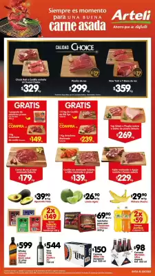Folleto Arteli (válido hasta 14-12)