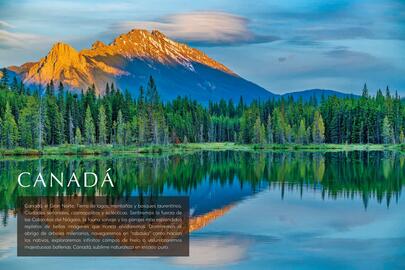 Catálogo Catai Página 168