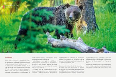 Catálogo Catai Página 170