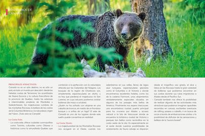 Catálogo Catai Página 172