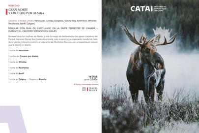 Catálogo Catai Página 215