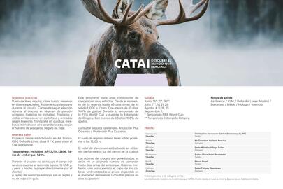 Catálogo Catai Página 217