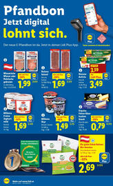 Lidl Flugblatt woche 51 Seite 20