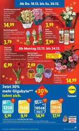 Lidl Flugblatt woche 51 Seite 29