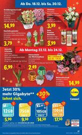 Lidl Flugblatt woche 51 Seite 30
