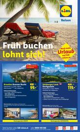 Lidl Flugblatt woche 51 Seite 31