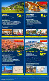 Lidl Flugblatt woche 51 Seite 31