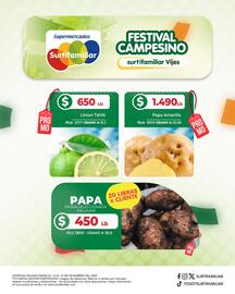 Catálogo Surtifamiliar Página 2