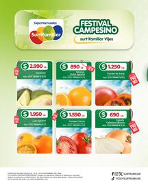 Catálogo Surtifamiliar Página 3