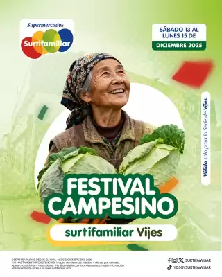 Catálogo Surtifamiliar (válido hasta 15-12)