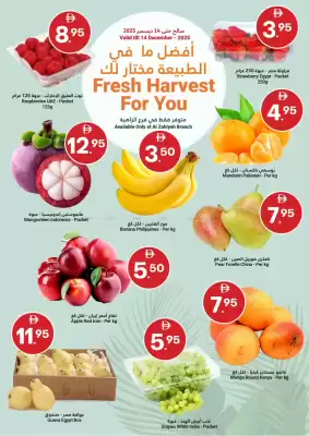 Grand Emirates Market catalogue (valid until 14-12)