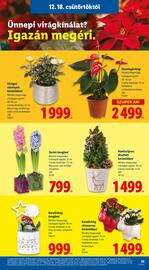Lidl akciós újság hét 51 Oldal 25