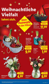 Lidl Prospekt woche 51 Seite 13