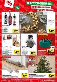 Hagebau Prospekt woche 50 Seite 5