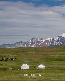 Folleto Napapijri semana 50 Página 2