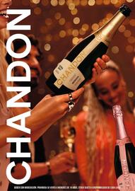 Folleto Disco Página 15